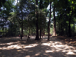 Занятия кунфу в парке Фернандо Пеньяльвер.