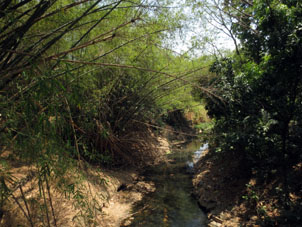 Река Рио Кабриалес, протекающая через парки Фернандо Пеньяльвер и Негра Иполита.