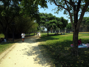 В парке Фернандо Пеньяльвер в Валенсии.