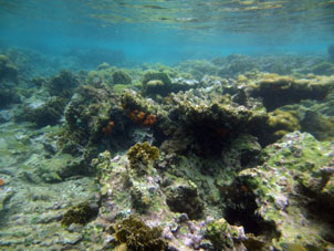Коралловая отмель у острова Длинный (Исла Ларга).
