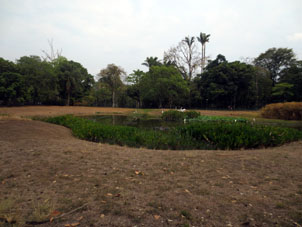 Пруд в Восточном парке Каракаса.