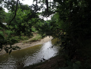 Река Кабриалес, протекающая через парк Фернандо Пеньяльвер.