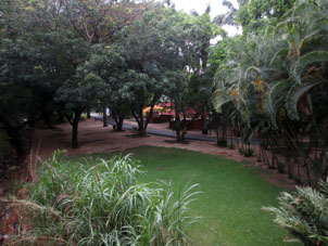 Парк Фернандо Пеньяльвер плавно перешёл в детский парк Негра Иполита.
