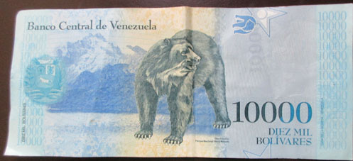 Новая купюра в 10000 боливаров, синего цвета и на ней, как и на 50, изображён медведь (Oso Frontino).