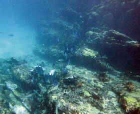 Под водой у северо-восточного берега бухты Ката (рядом с Катикой).