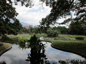 Пруд в Восточном парке в Каракасе.