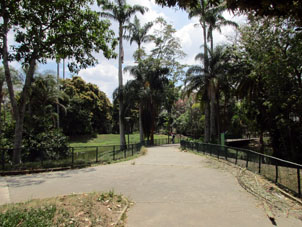 Дорожка в Восточном парке Каракаса.