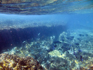 Коралловый риф Валье Секо со стороны Карибского моря.