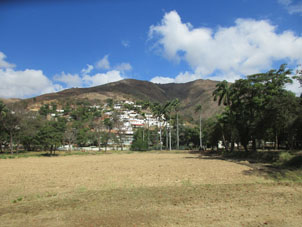 Вспаханное поле на территории предприятия по производству рома "Санта Тереса".