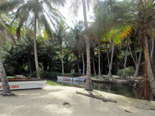 На пляже Сепе есть речка и кокосовая роща.