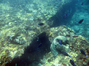 Мелководье рифа Сепе.
