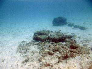 В коралловой лагуне внешней стороны атолла Сомбреро.