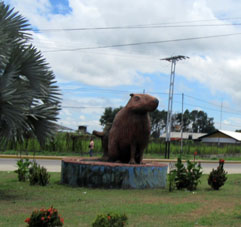 Статуя капибары в Баринасе.