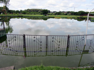 Утонувший пруд в парке Федерация.