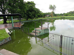 Вот так из-за дождей пруд в парке оказался затопленным.