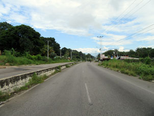 Дорога Баринас - Мерида заростает по краям и середине.