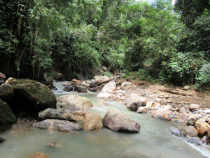 Речка в районе Альтамира-де-Касерес.