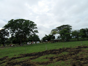 Сельский хутор недалеко от Баринаса.