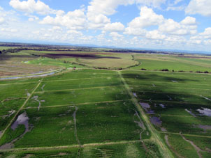 Рисовые поля в штате Кохедес.