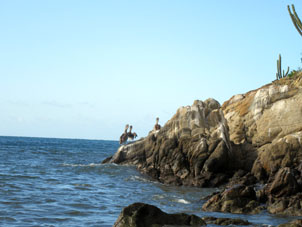 Пеликаны на берегу Окумаре де ла Коста.