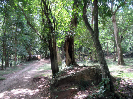 При входе в лесопарк Кокуисас, входящий в национальный парк Анри Питтье.