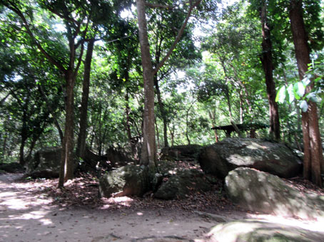 При входе в лесопарк Кокуисас, входящий в национальный парк Анри Питтье.