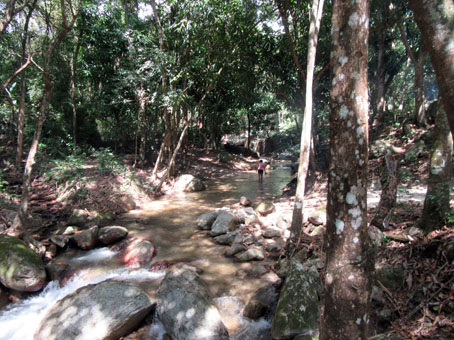Венесуэльцы используют этот ручей, как бассейн с пресной водой.