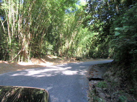 Вот по такой дороге проезжаем бамбуковые заросли.