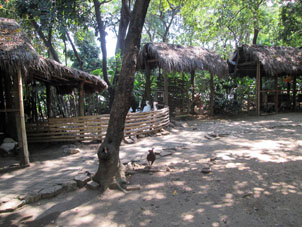 Уголок сельского подворья в Историческом парке Гуаякиля.