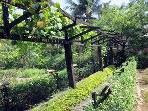 Уголок растениеводства в Историческом парке Гуаякиля.