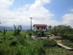 Сельский хутор по дороге на Гуаякиль.