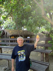 А это манговый плод, который упал сверху к моим ногам, как волшебный дар с неба (а ведь мог и попасть и по голове) в Историческом парке Гуаякиля.