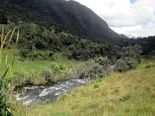 Ручей в долине Эль Кахас.