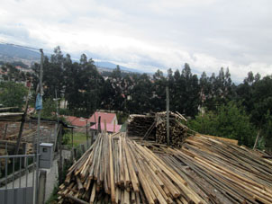 Склад брёвен и бамбука.