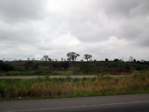 Вид с дороги приближаясь к перуанской границе.