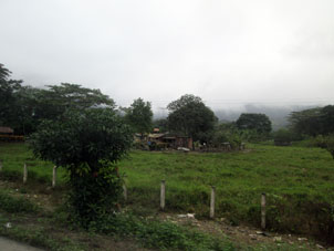 Сельские домики среди полей по дороге из Мачалы в Гуаякиль.