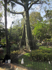 Парк в центре Гуаякиля.