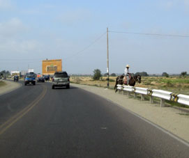 Деревенский пастух вдоль Панамериканского шоссе.