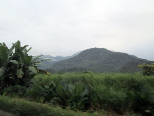 На равнинах в Мачале растут бананы, а в горах добывают золото.