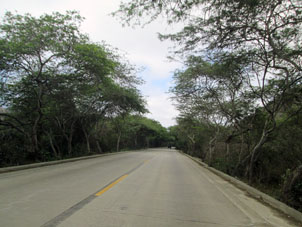 Это - дорога дальше Пуэрто-Лопеса в природном парке Мачалилья.