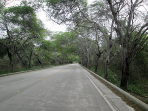 Дорога из Мачалильи в Пэрто-Лопес.