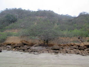 Берег под смотровой горой в Пуэрто-Лопесе.
