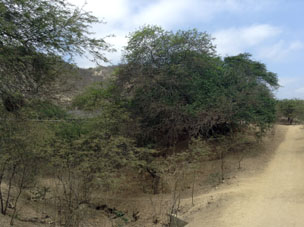 Ландшафт Агуа Бланка.