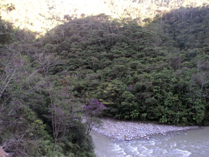 Река Бомбускаро.
