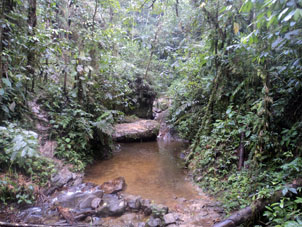 Ручей в провинции Эль Оро, около водопадов Сан Мануэль.