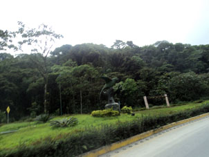 Статуя попугая перед городом Пиньяс.