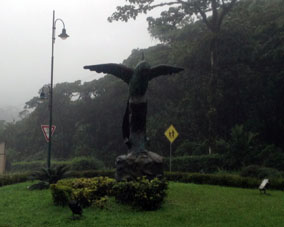 Статуя попугая у дороги из Пиньяса в Саруму.