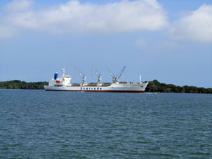 Грузовое судно в акватории порта Мачалы.