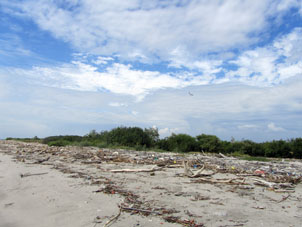 Вот столько мусора море вынесло на берег.