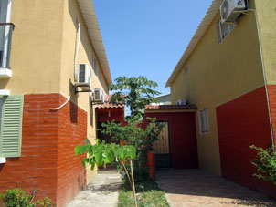 Папайя во дворике в жилом комплексе "Сьюдад Верде" в Мачале.